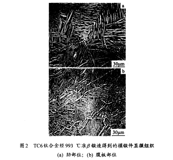 TC6鈦合金經(jīng)993℃準(zhǔn)β鍛造得到的模鍛件顯微組織(a) 肋部位；(b) 腹板部位