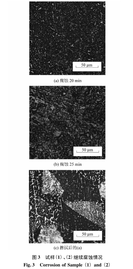 試樣(1)、(2)繼續(xù)腐蝕情況